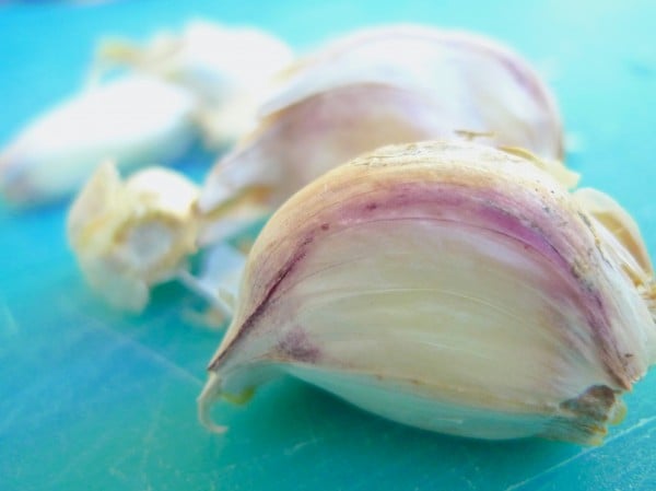 Whole Garlic for Thanksgiving Mashed Potatoes