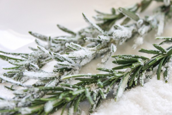 Candied Rosemary