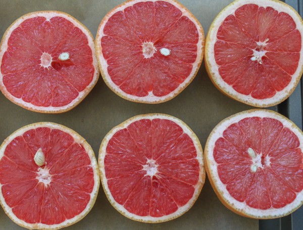 Sliced Grapefruits