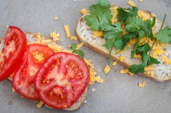 Tomato and Cilantro Sandwich